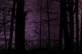 Thumbnail for version as of 11:06, 13 May 2020