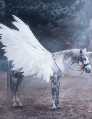 Pegasus.png