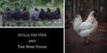 Thumbnail for version as of 16:27, 13 May 2020