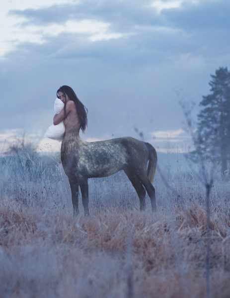 File:Centaur.png